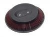 空氣濾清器 Air Filter:16546-86G00