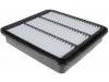 空氣濾清器 Air Filter:A21-1109111